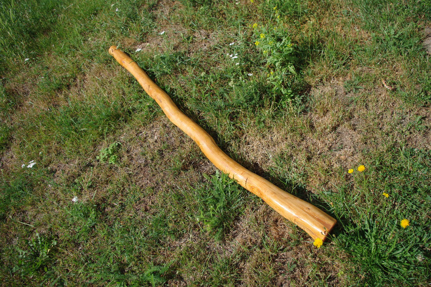 Didgeridoo 2 - habr - 3500